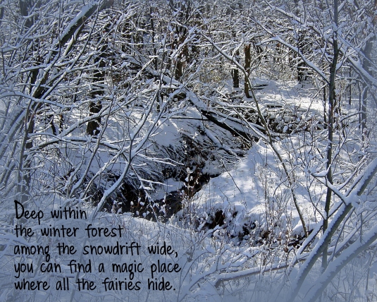 Snowy woods quote